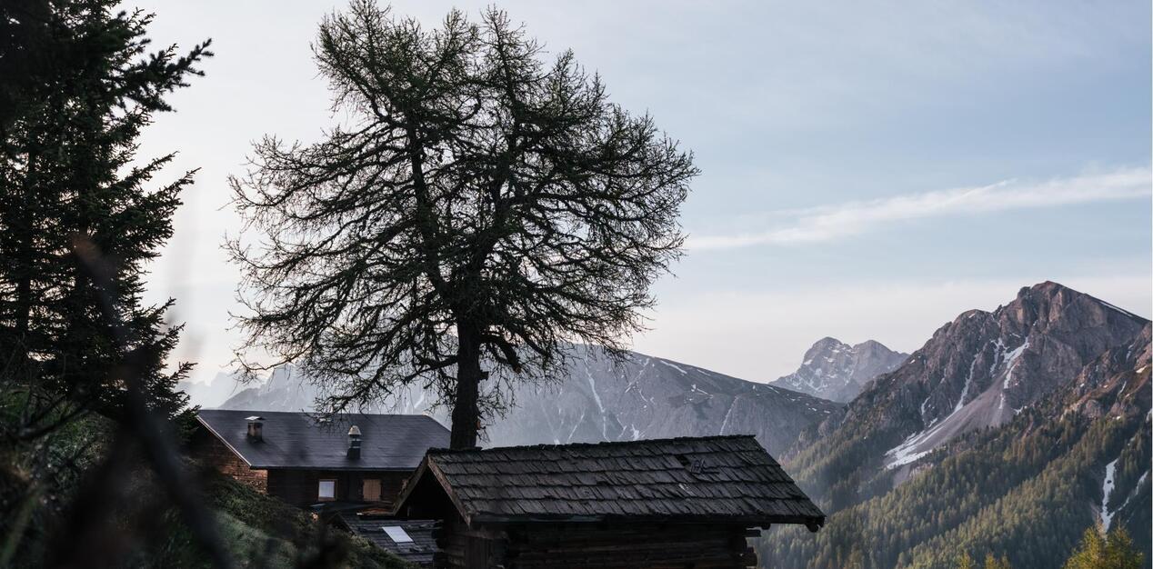 Holz-Chalets am Waldrand mit Blick in die Dolomiten