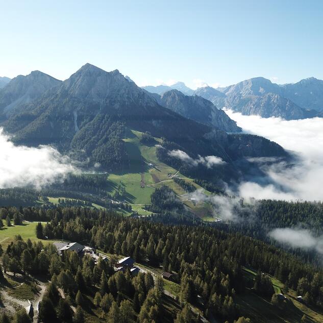 Summer panorama of meadows, forests and the Dolomite landscape.