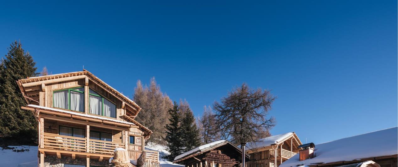 Ciasa Rosina in winter