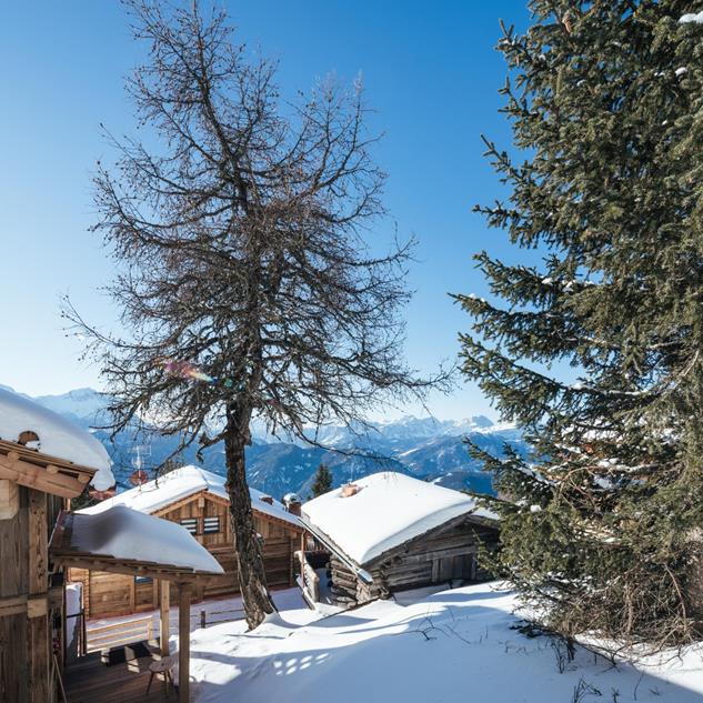 Schneebedeckte Chalets mit Nadelbäumen im Vordergrund.