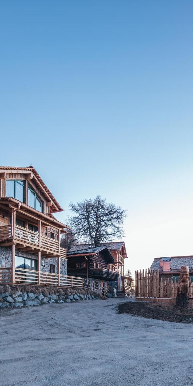 Chalets am Kronplatz umgeben von Nadelbäumen und Blick in den blauen Himmel.