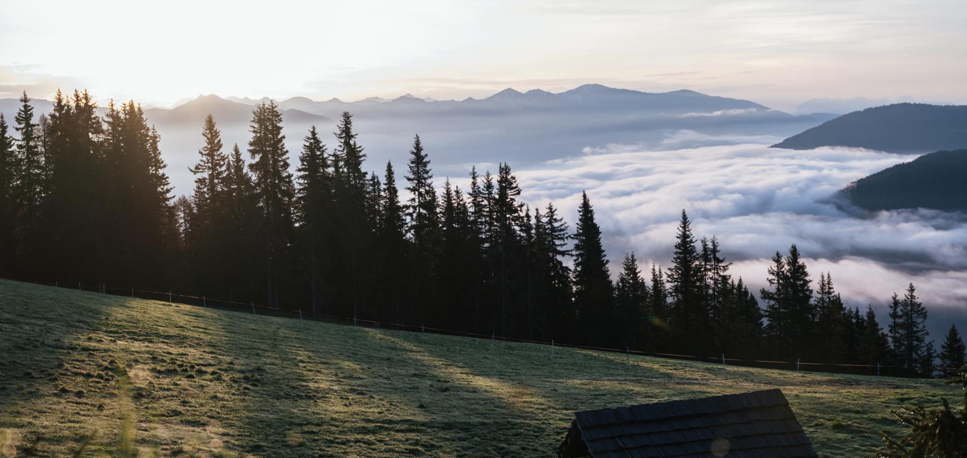 Summer view from Kronplatz with alpine meadow, forest, and fog in the valley.