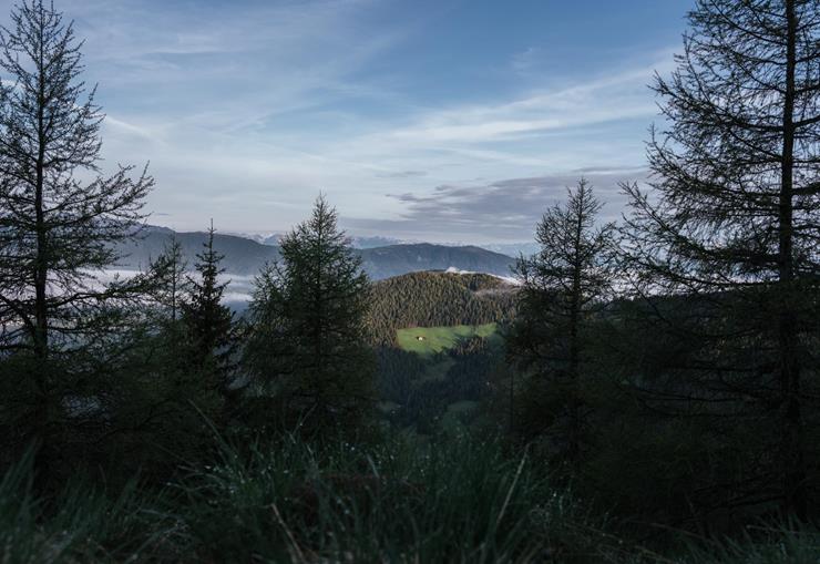 Panoramablick durch Nadelbäume auf bewaldete Berge, Nebel im Tal und blauen Himmel.