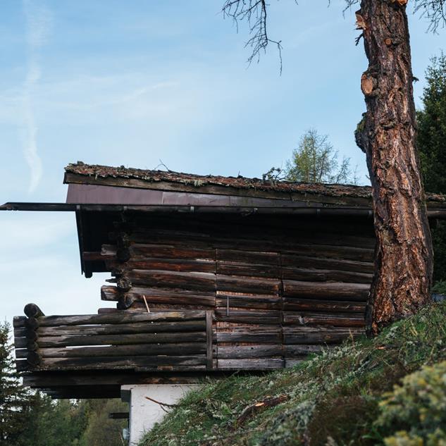 Rustikales Holzchalet in Sankt Vigil am Waldrand mit Baum im Vordergrund.