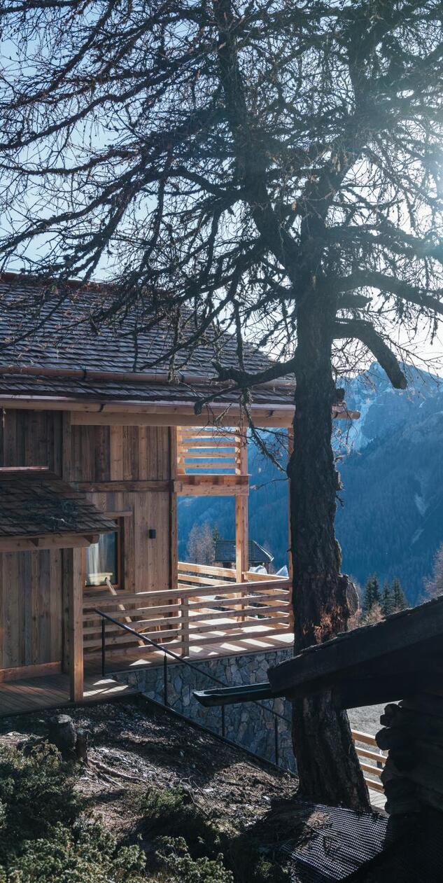 Chalets with mountain views and a coniferous tree in the foreground.